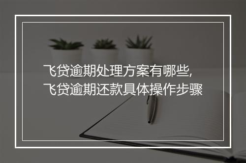 飞贷逾期处理方案有哪些,飞贷逾期还款具体操作步骤