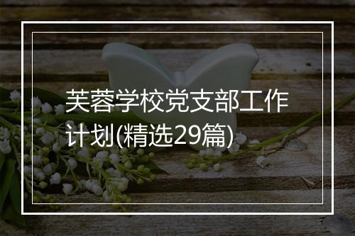 芙蓉学校党支部工作计划(精选29篇)
