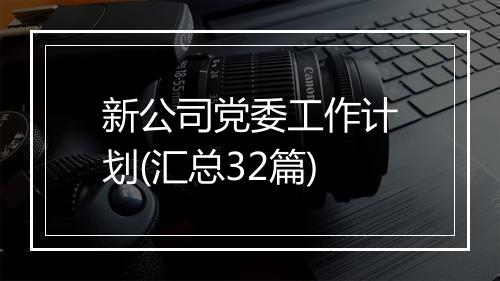 新公司党委工作计划(汇总32篇)