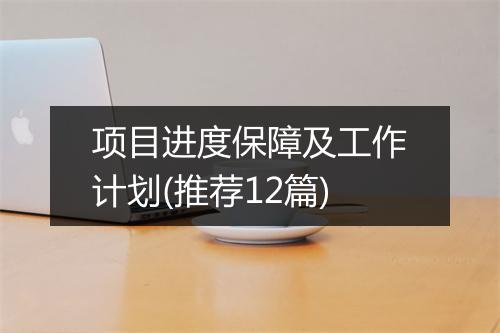 项目进度保障及工作计划(推荐12篇)