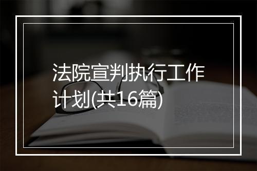法院宣判执行工作计划(共16篇)
