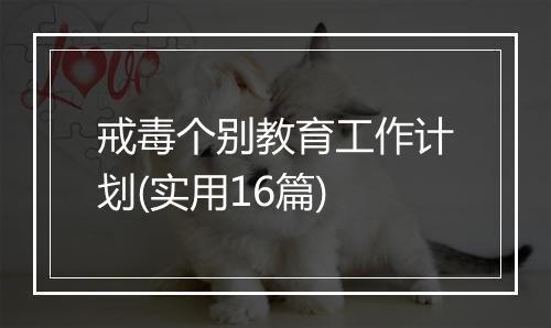 戒毒个别教育工作计划(实用16篇)