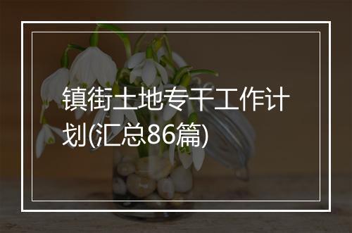 镇街土地专干工作计划(汇总86篇)