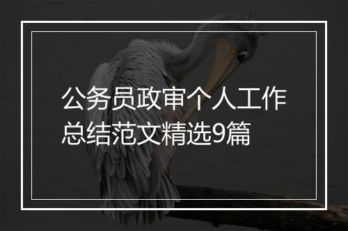 公务员政审个人工作总结范文精选9篇