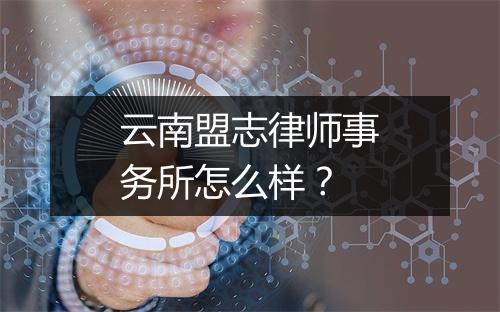 云南盟志律师事务所怎么样？
