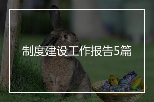 制度建设工作报告5篇