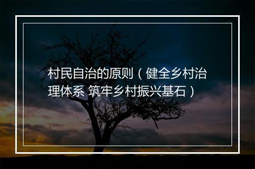 村民自治的原则（健全乡村治理体系 筑牢乡村振兴基石）