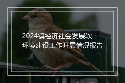 2024镇经济社会发展软环境建设工作开展情况报告