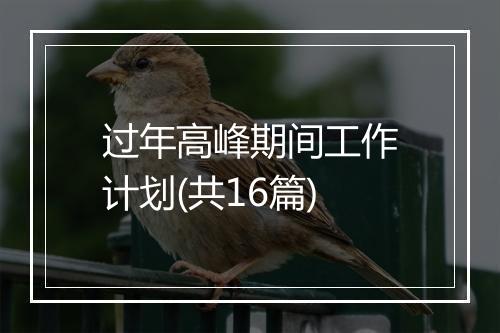 过年高峰期间工作计划(共16篇)