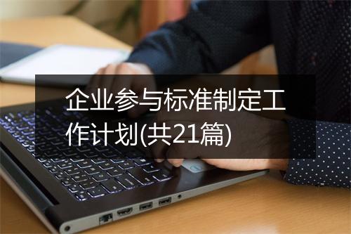 企业参与标准制定工作计划(共21篇)