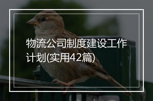物流公司制度建设工作计划(实用42篇)