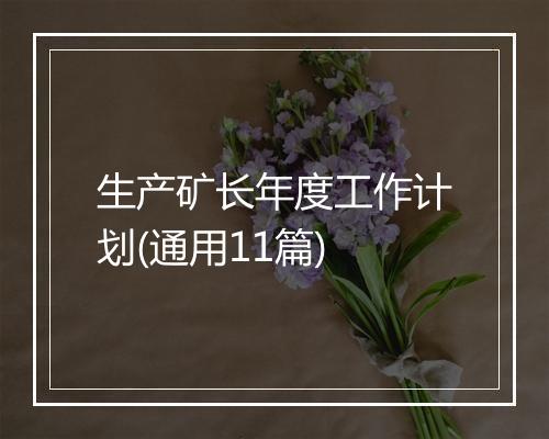 生产矿长年度工作计划(通用11篇)