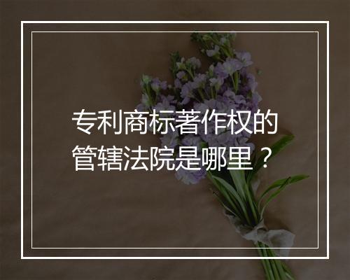 专利商标著作权的管辖法院是哪里？