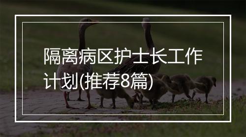 隔离病区护士长工作计划(推荐8篇)