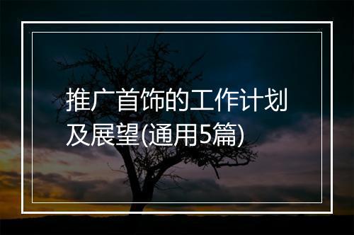 推广首饰的工作计划及展望(通用5篇)