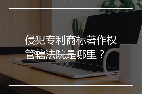 侵犯专利商标著作权管辖法院是哪里？