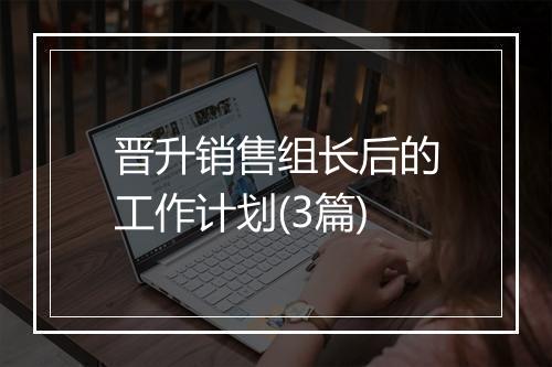 晋升销售组长后的工作计划(3篇)