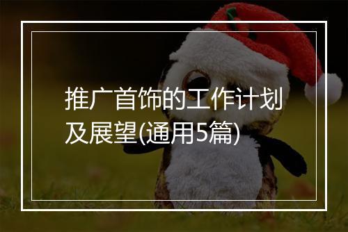 推广首饰的工作计划及展望(通用5篇)