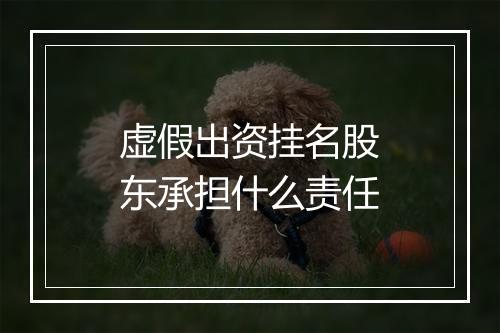 虚假出资挂名股东承担什么责任