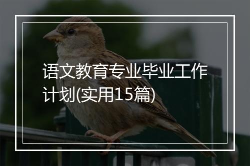 语文教育专业毕业工作计划(实用15篇)