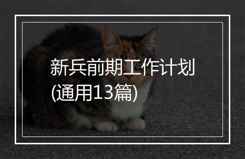 新兵前期工作计划(通用13篇)