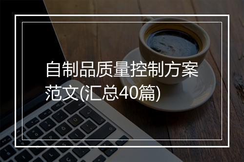 自制品质量控制方案范文(汇总40篇)