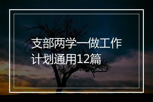支部两学一做工作计划通用12篇