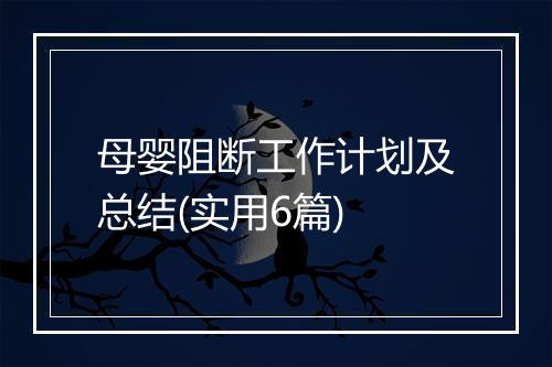 母婴阻断工作计划及总结(实用6篇)