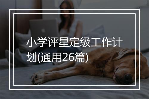 小学评星定级工作计划(通用26篇)