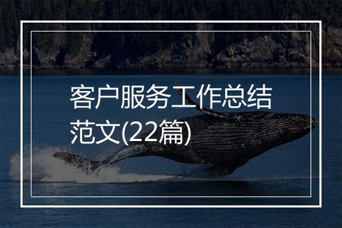 客户服务工作总结范文(22篇)