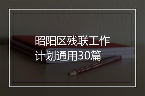 昭阳区残联工作计划通用30篇
