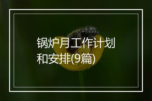 锅炉月工作计划和安排(9篇)
