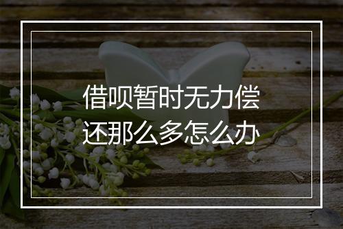 借呗暂时无力偿还那么多怎么办