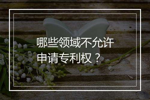 哪些领域不允许申请专利权？