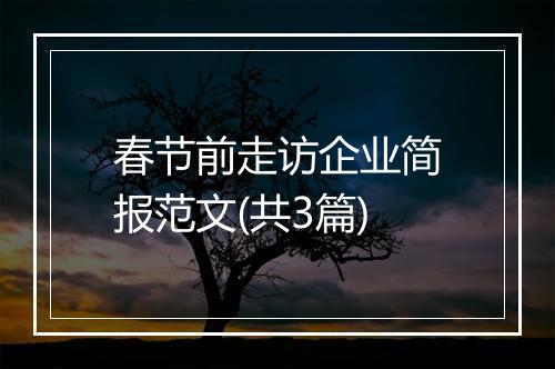 春节前走访企业简报范文(共3篇)