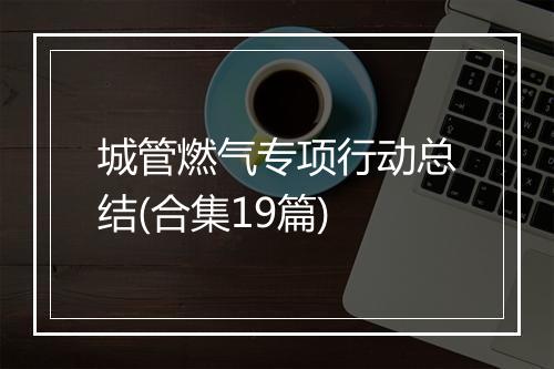 城管燃气专项行动总结(合集19篇)
