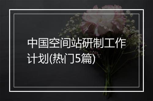 中国空间站研制工作计划(热门5篇)