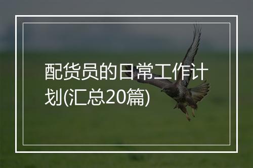 配货员的日常工作计划(汇总20篇)