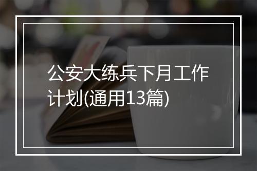 公安大练兵下月工作计划(通用13篇)