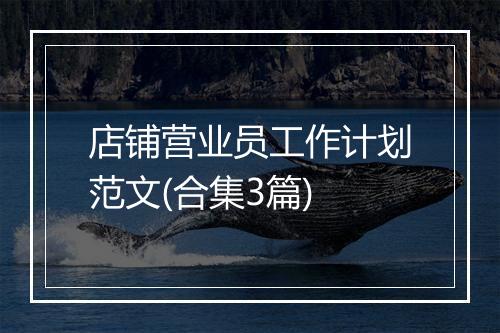 店铺营业员工作计划范文(合集3篇)
