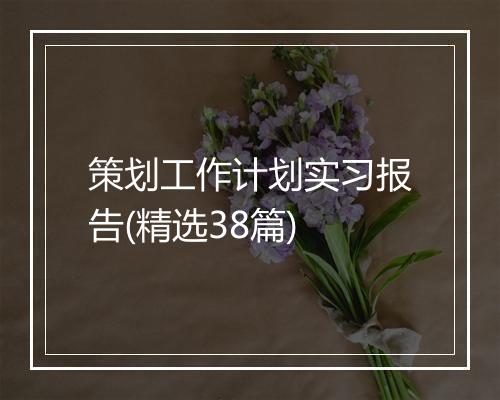 策划工作计划实习报告(精选38篇)