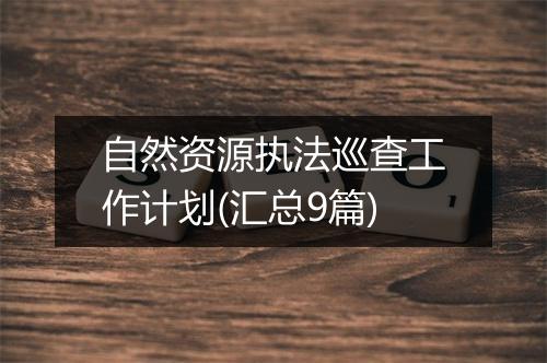 自然资源执法巡查工作计划(汇总9篇)