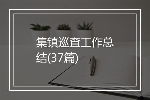 集镇巡查工作总结(37篇)
