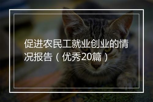 促进农民工就业创业的情况报告（优秀20篇）
