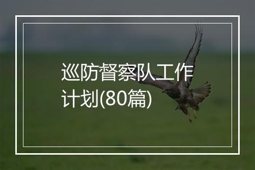 巡防督察队工作计划(80篇)