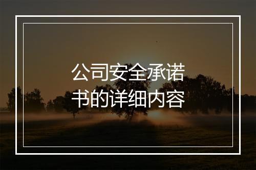 公司安全承诺书的详细内容