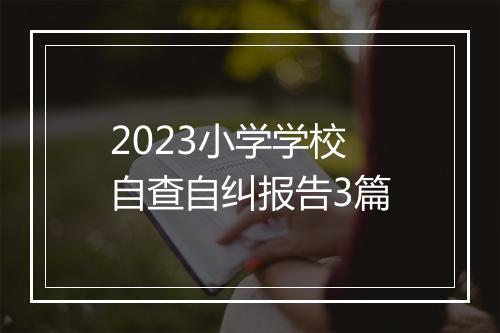 2023小学学校自查自纠报告3篇