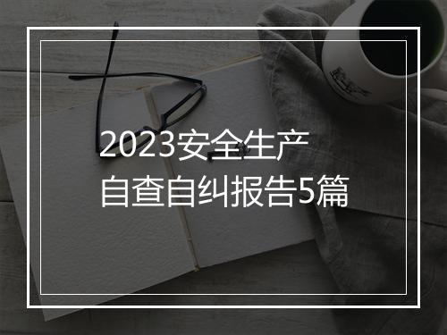 2023安全生产自查自纠报告5篇