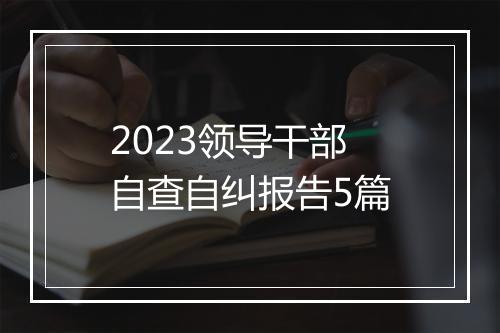 2023领导干部自查自纠报告5篇