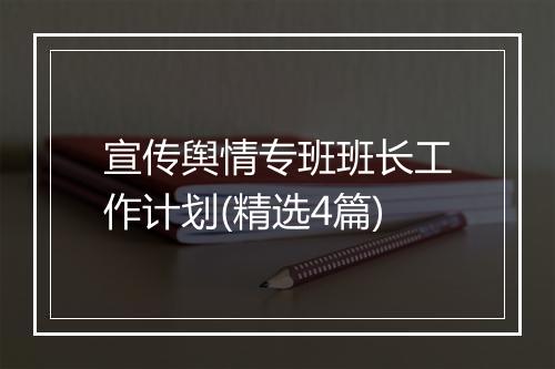 宣传舆情专班班长工作计划(精选4篇)